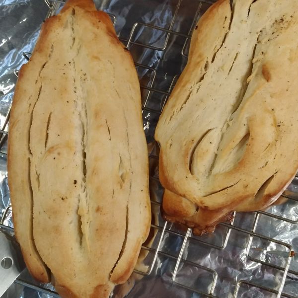 undefined：Mina 一起做