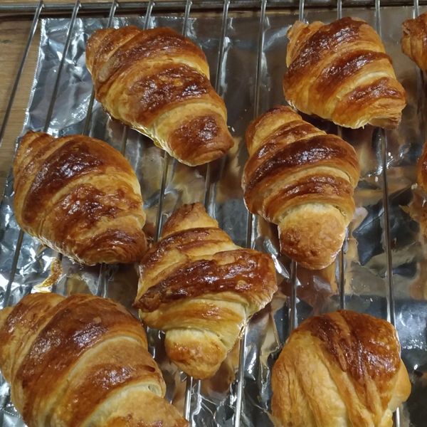 undefined：Mina 一起做