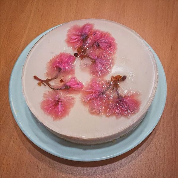 【免烤箱】櫻花草莓粉紅生乳酪蛋糕：Vicky Syu 一起做