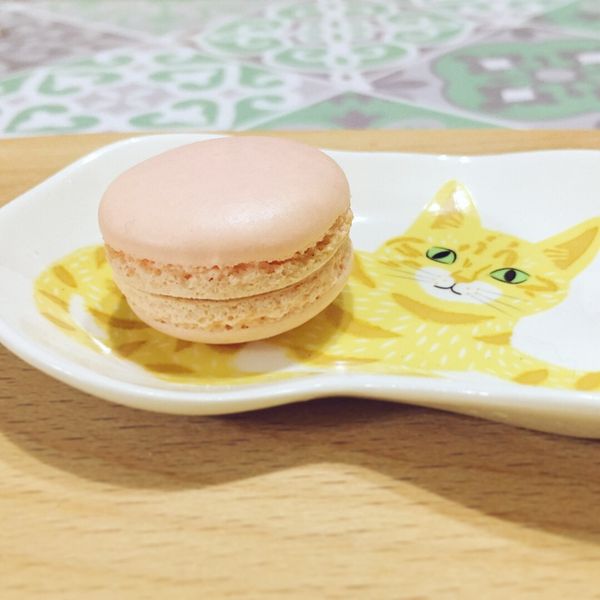 法式馬卡龍（低筋麵粉）：李依融 一起做