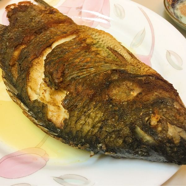 【厚生廚房】香煎吳郭魚 : 🍳菜鳥小廚娘🥘一起做