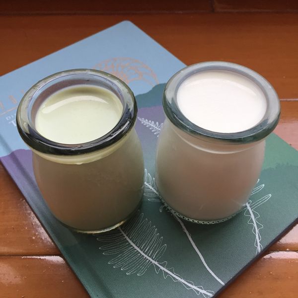 原味鮮奶酪：Arashi Chang 一起做