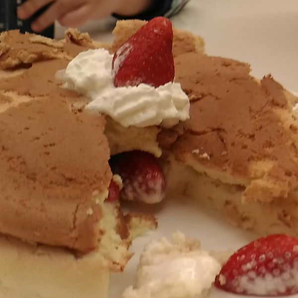 草莓波士頓派:Oso Oso 一起做