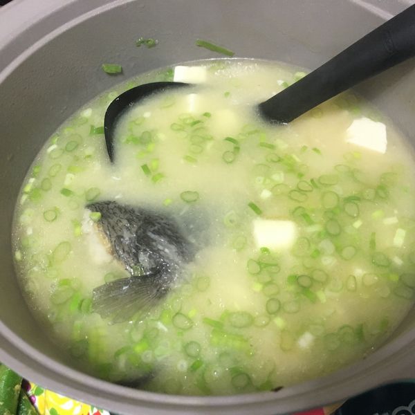 [Serena上菜]日式鮭魚頭味噌豆腐湯 : Mia Wu一起做
