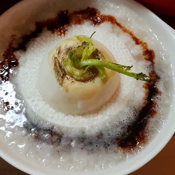 蘿蔔泥 : 蔣龐嚴選 一起做