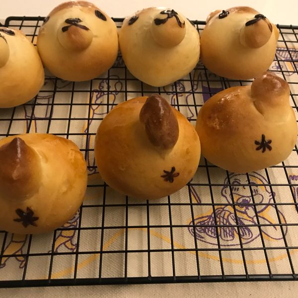 柴犬麵包：viya 一起做