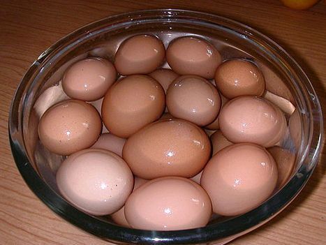 醃鹹蛋：楓 一起做