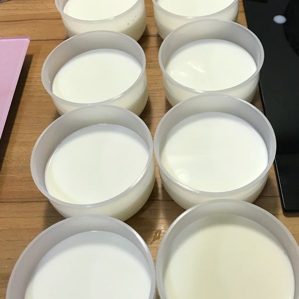 原味鮮奶酪：小猴兒🐒 一起做