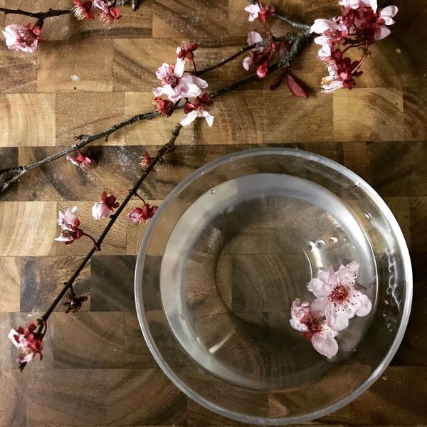 櫻花水信玄餅(吉利Ｔ配方）：蛋蛋 一起做