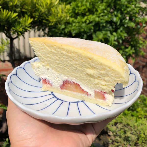 波士頓派 : 梁靜雯一起做