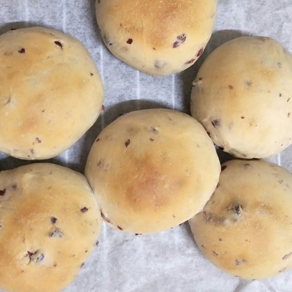 蜂蜜蔓越莓餐包(橄欖油配方) : Chiung Ru一起做