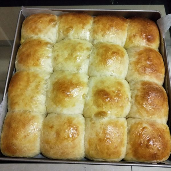 300顆以上實做完美比例的拉絲牛奶小餐包 : Kelly Chen一起做