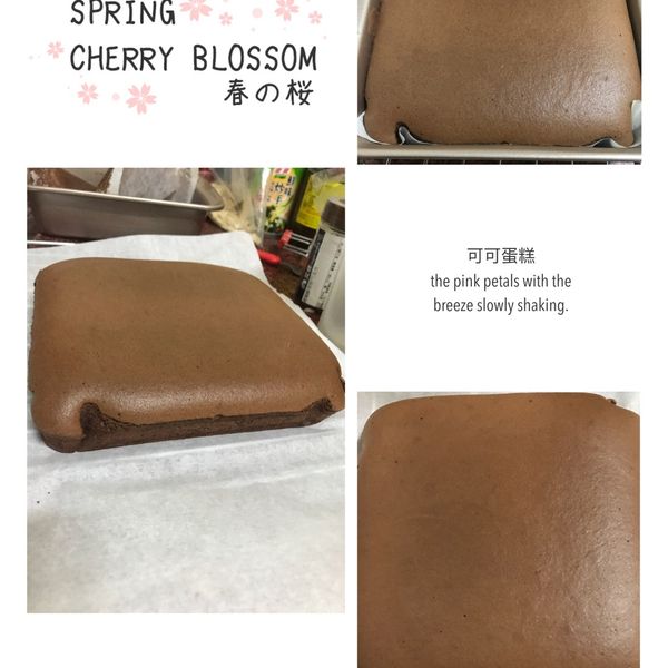 法芙娜可可枕頭蛋糕（燙麵戚風、水浴法）：Ya Wen Chang 一起做