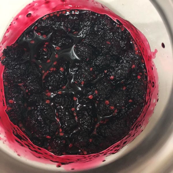 桑椹果醬~~簡易好上手 : 劉曉方一起做