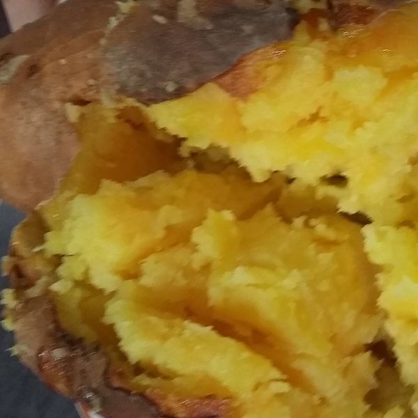 undefined： 勇兔 一起做