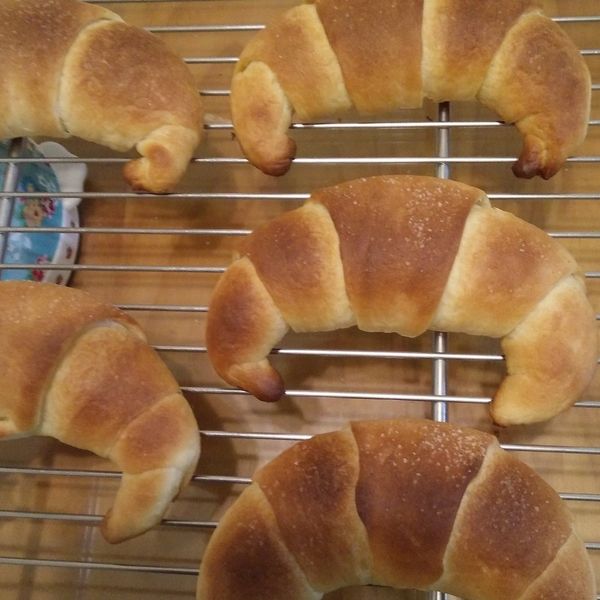 undefined：Hu Sandy 一起做