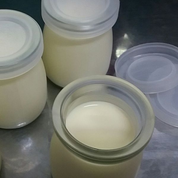 原味鮮奶奶酪：祝菱 一起做