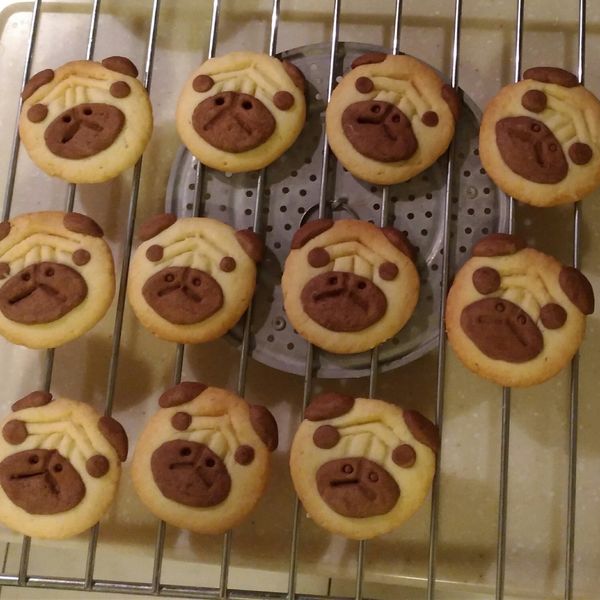 巴哥犬造型餅乾✿免模型、免泡打粉 : 喵喵一起做