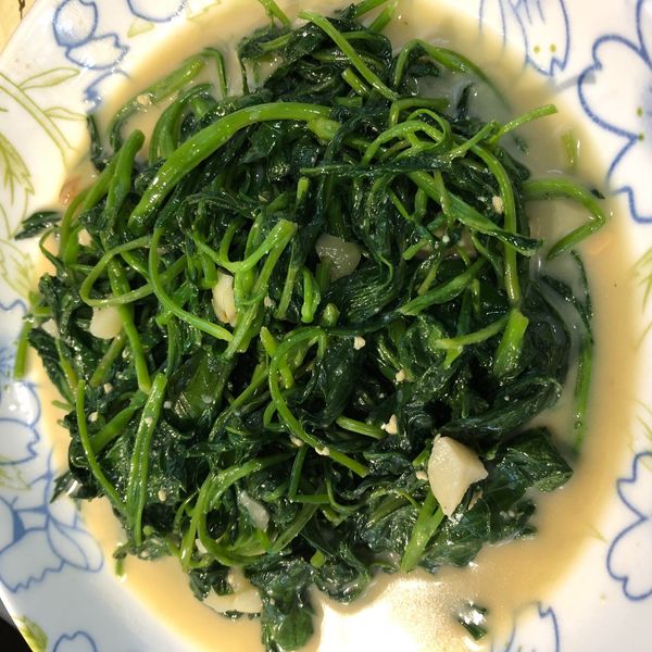 給新手超簡單「豆腐乳空心菜」✨ : Ying Ying Shao一起做