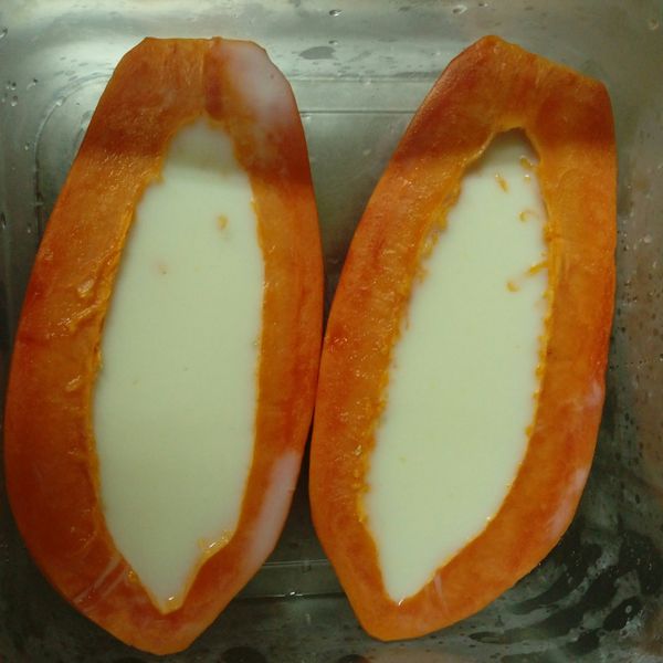 木瓜牛奶凍 [超簡易15分鐘食譜] : Philomena一起做