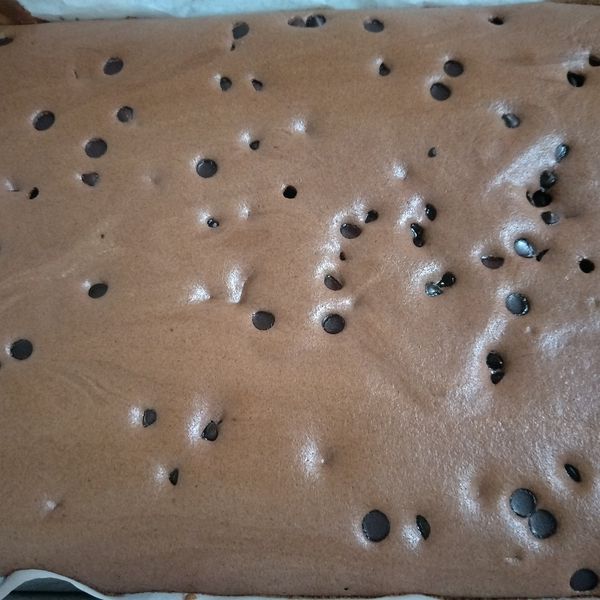 可可古早味蛋糕 : 李嘉蓉一起做