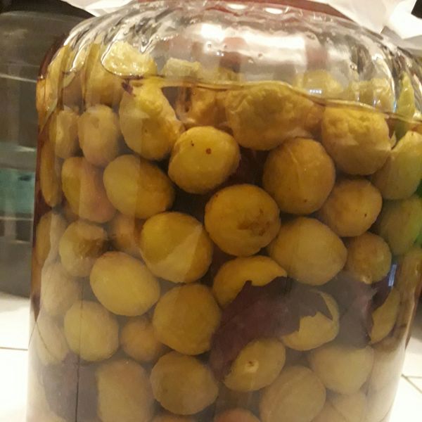 紫蘇梅：洪嘉珮 一起做