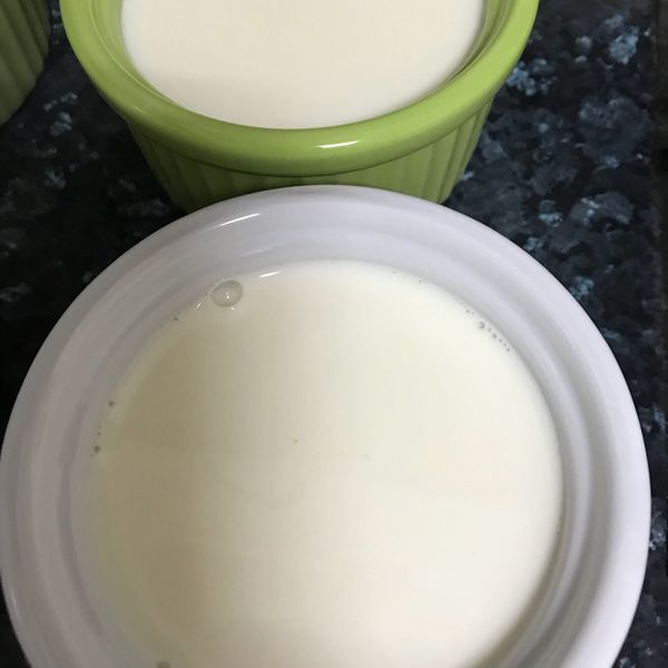 🥛初學者不失敗之鮮奶酪：黛娜 一起做
