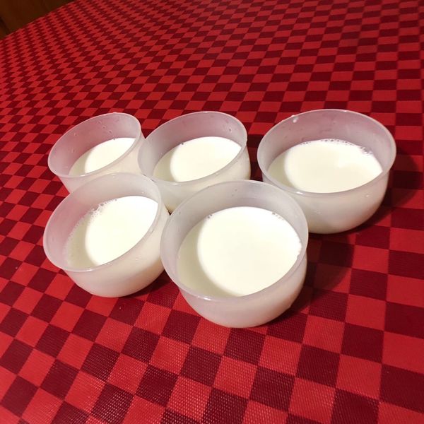 原味鮮奶酪：Jen-de Liao 一起做