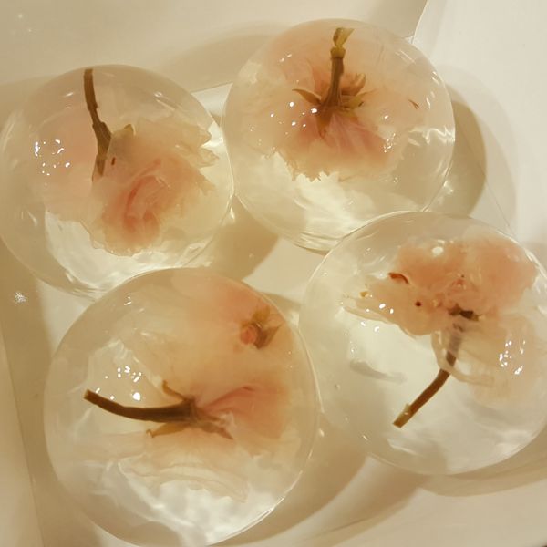 櫻花水信玄餅(吉利Ｔ配方）：lala 一起做