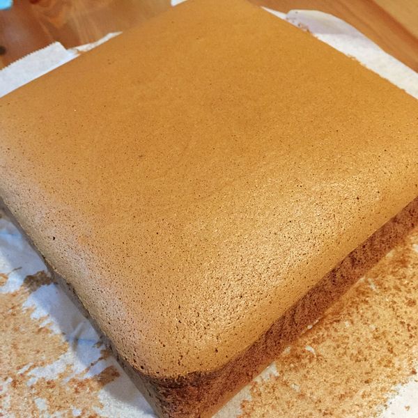 法芙娜可可枕頭蛋糕（燙麵戚風、水浴法）：辛柚子 一起做