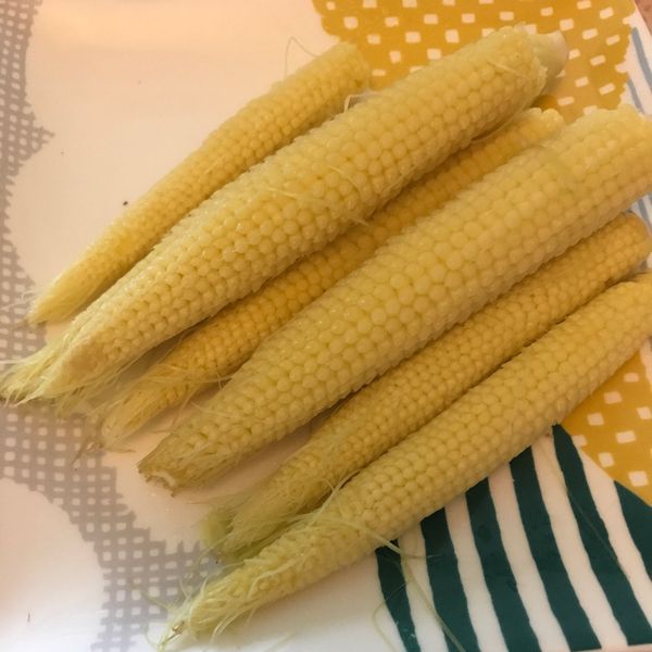 undefined：張笑笑 一起做