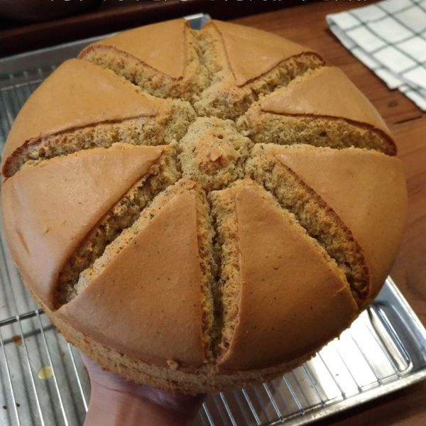 undefined：Mina 一起做