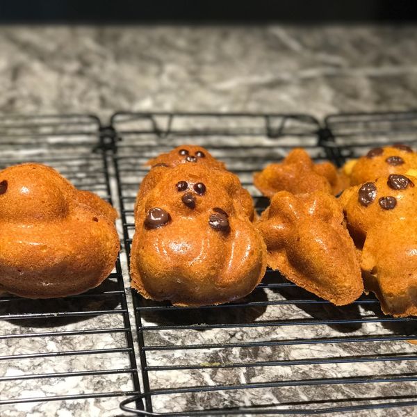 原味磅蛋糕 : 李佳範一起做