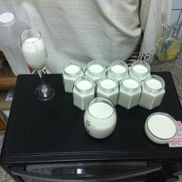 大獅子小白兔一起做