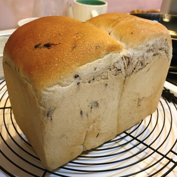 藍莓牛奶吐司 : Mika Kang一起做