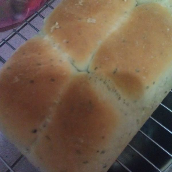 Classico義大利麵香濃白醬~香濃白醬麵包：白蕾 一起做