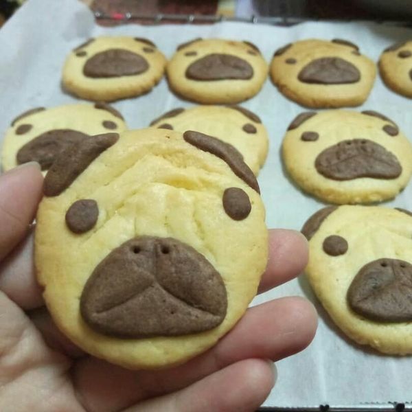 巴哥犬造型餅乾✿免模型、免泡打粉 : 純純一起做