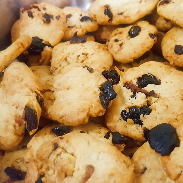 優格變身小餅乾:傻燕小烤箱 一起做