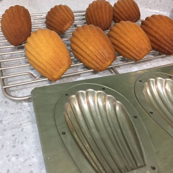 蜂蜜瑪德蓮-原味.可可.抹茶 : clover一起做