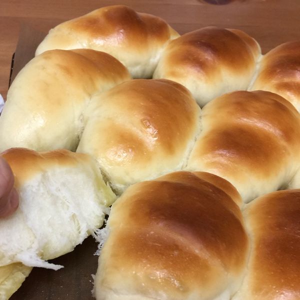 優格鹹奶油餐包：Grace  Wang 一起做