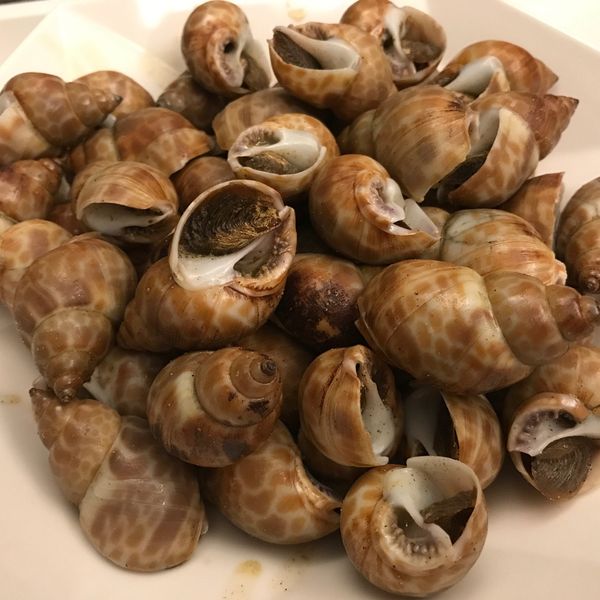 undefined：Wind Wu 一起做