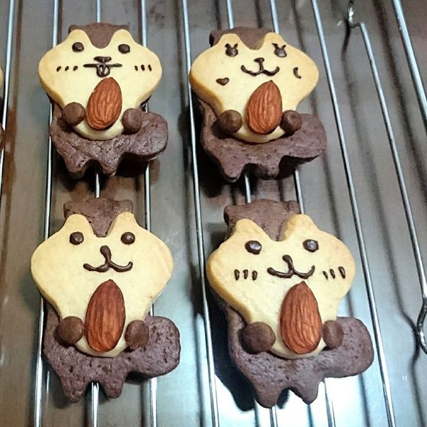 可愛松鼠造型餅乾：吳孟孟 一起做
