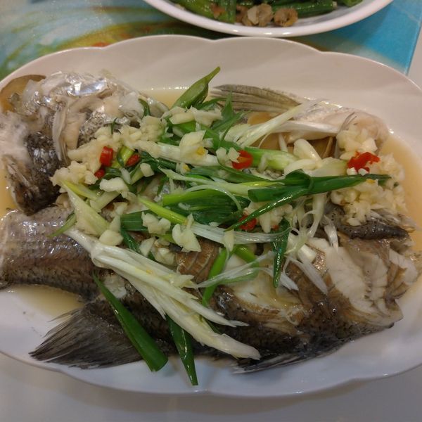 undefined：SC 一起做