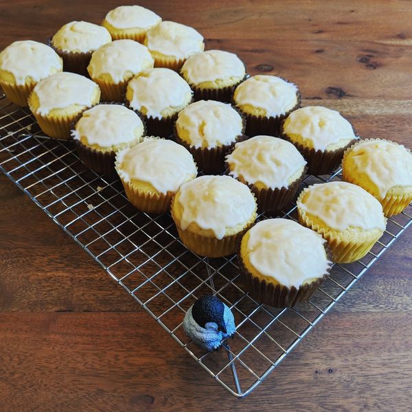 檸檬糖霜杯子蛋糕：企鵝太太 一起做