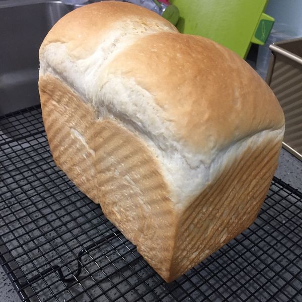 優格蜂蜜吐司-水合法:黑白舞灶咖 一起做