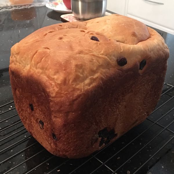 undefined：susan_wang 一起做