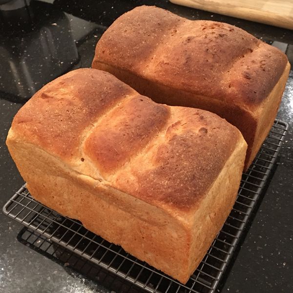 undefined：susan_wang 一起做