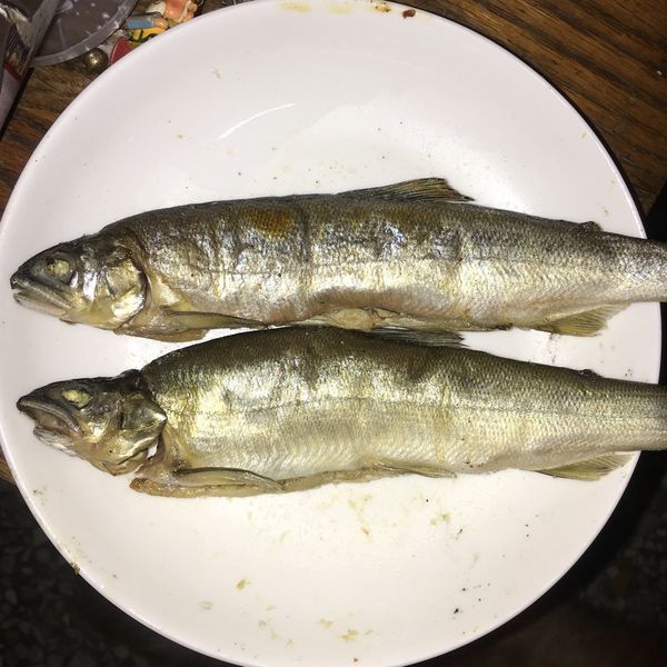 undefined：伊凡 一起做