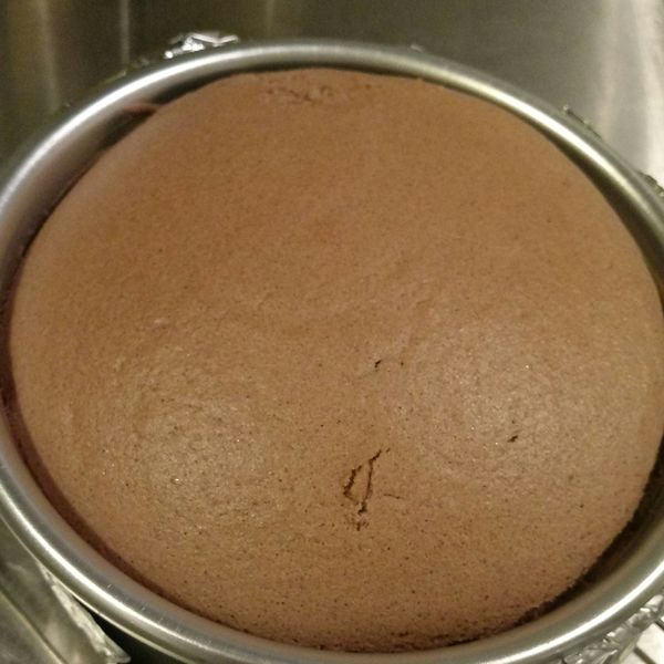 undefined：Shu-Hua Zhuo 一起做