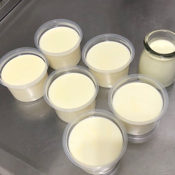 原味鮮奶酪：Liou Yi Jing 一起做